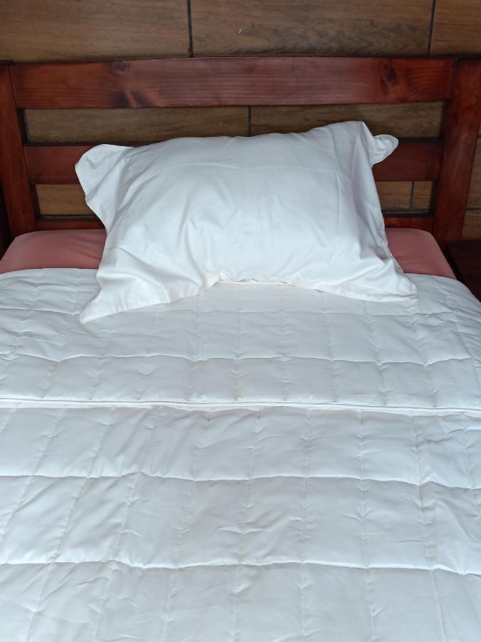 Budget Hostel Guatemala 외부 사진