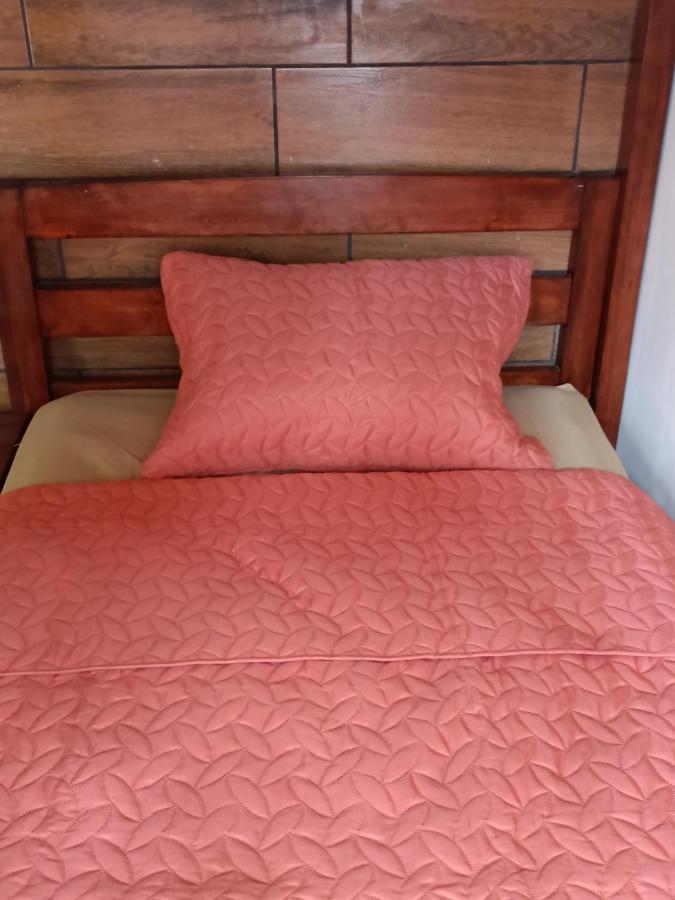 Budget Hostel Guatemala 외부 사진